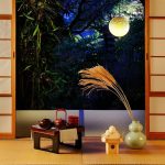 Otsukimi (お月見): Mirando la Luna