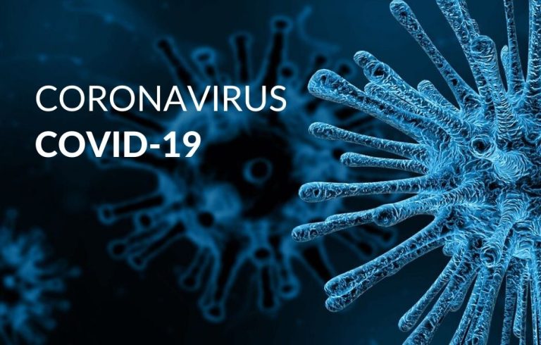 Hyogo: ¡Sigamos tomando medidas para prevenir la propagación de infecciones mientras retomamos la vida cotidiana!
