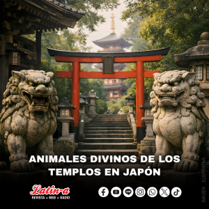 ANIMALES DIVINOS DE LOS TEMPLOS EN JAPÓN