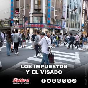 LOS IMPUESTOS Y EL VISADO