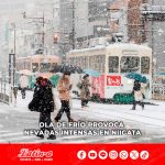 Alerta por fuertes nevadas en Niigata: riesgo elevado incluso en zonas llanas hasta el día 25