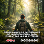 SHINRIN-YOKU, LA IMPORTANCIA DE LA DESCONEXIÓN PARA ENCONTRAR LA PAZ INTERIOR