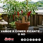 Vamos a comer picante… o no. 