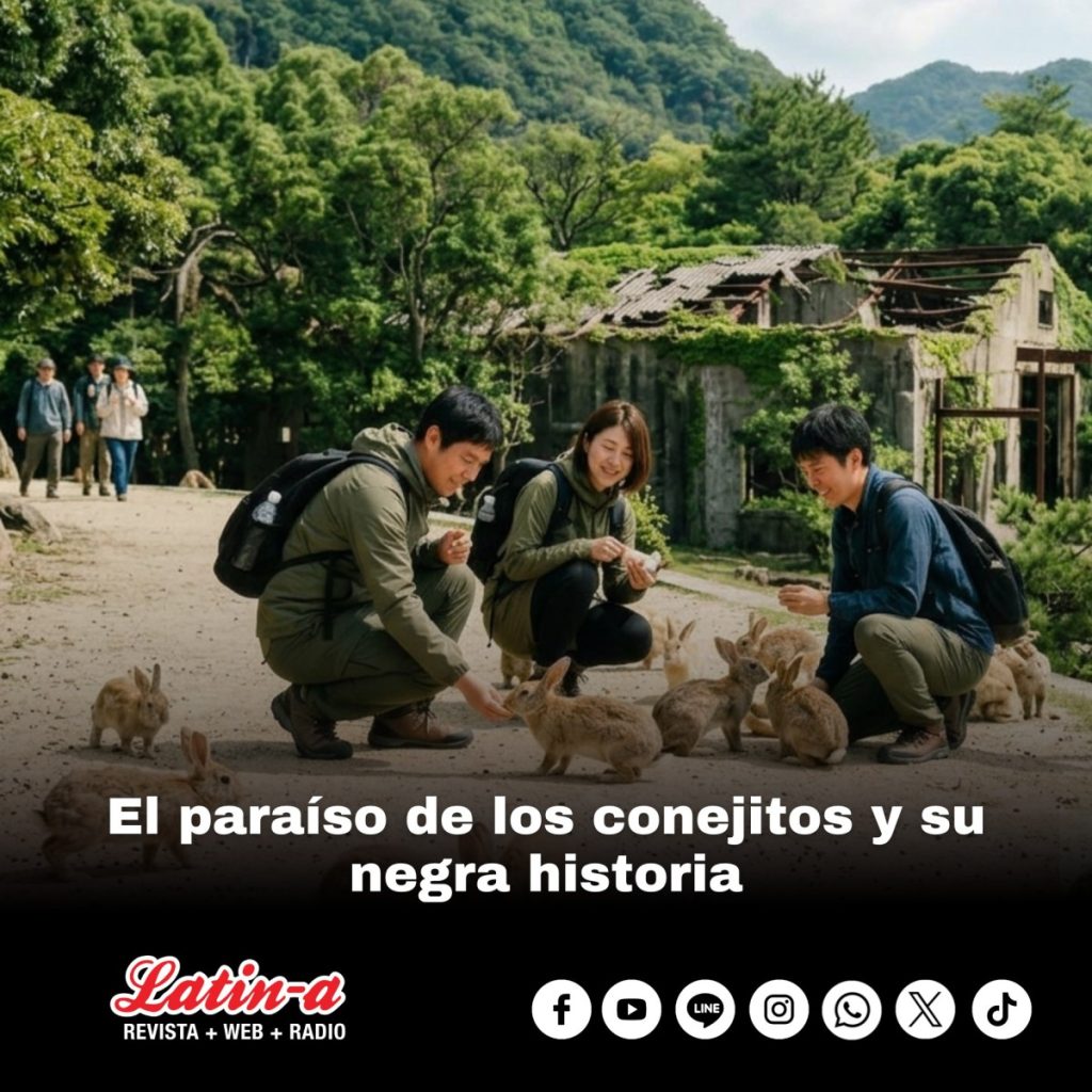 El paraíso de los conejitos y su negra historia