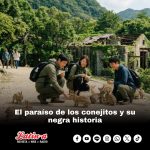 El paraíso de los conejitos y su negra historia