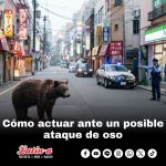 Cómo actuar ante un posible ataque de un oso 