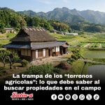 La trampa de los “terrenos agrícolas”: lo que debe saber al buscar propiedades en el campo